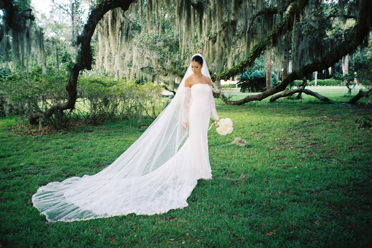 Michelle Scott Photography: Google Places image 3