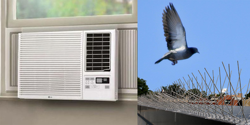 NYC PIGEON AIR CONDITIONER