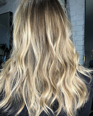 Foxx & Beagle photo 2