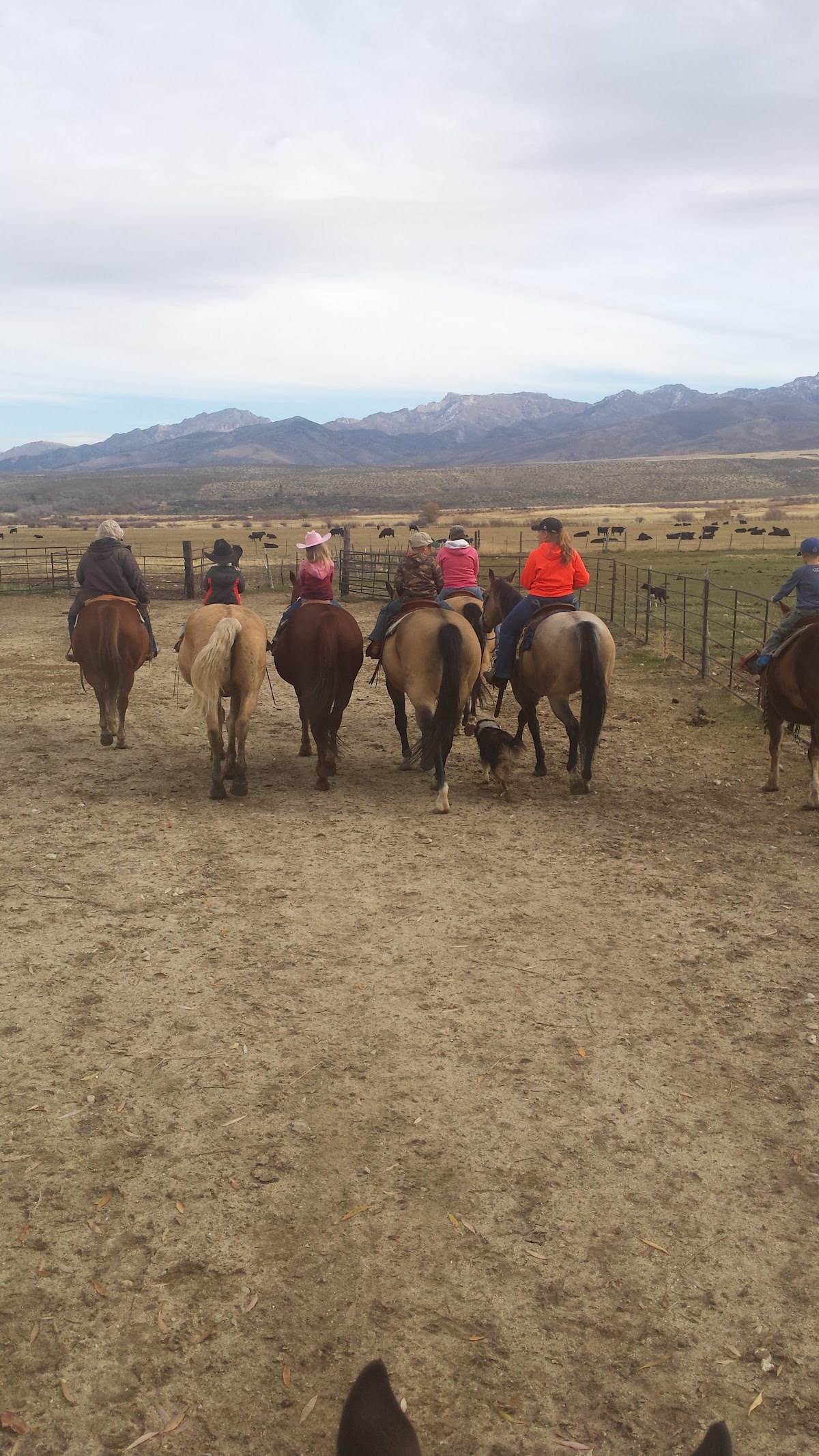 Nevada High Desert Outfitters