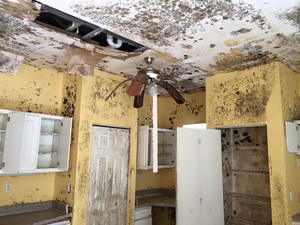 Air & Surface Disinfection — photo
