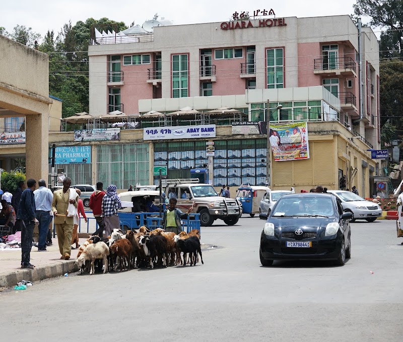Quara Hotel Gondar photo 4