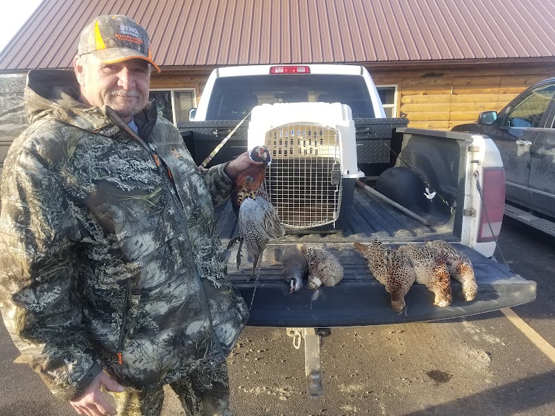 Goose Bump Pheasant Hunting Lodge - Photo 5