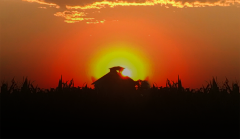 Goose Bump Pheasant Hunting Lodge - Photo 1