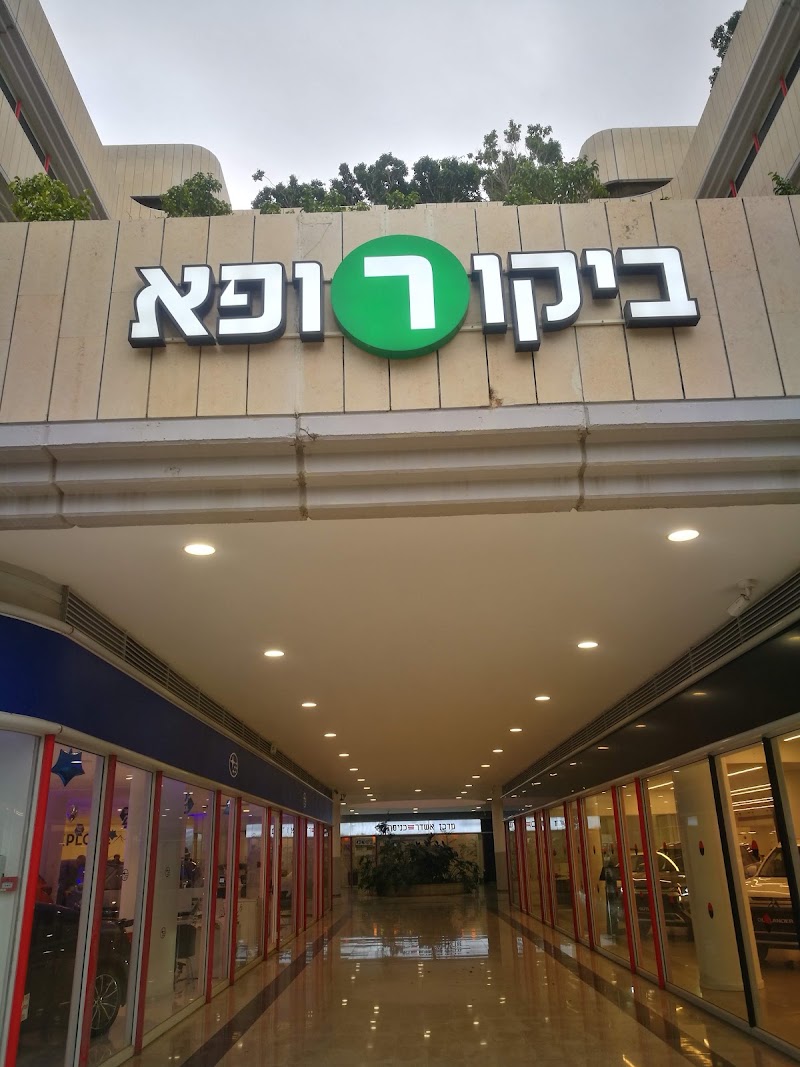 Gallery 5