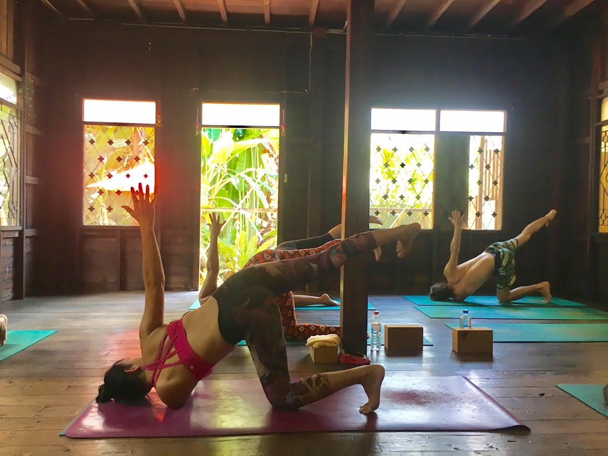 Wild Rose Yoga — 4