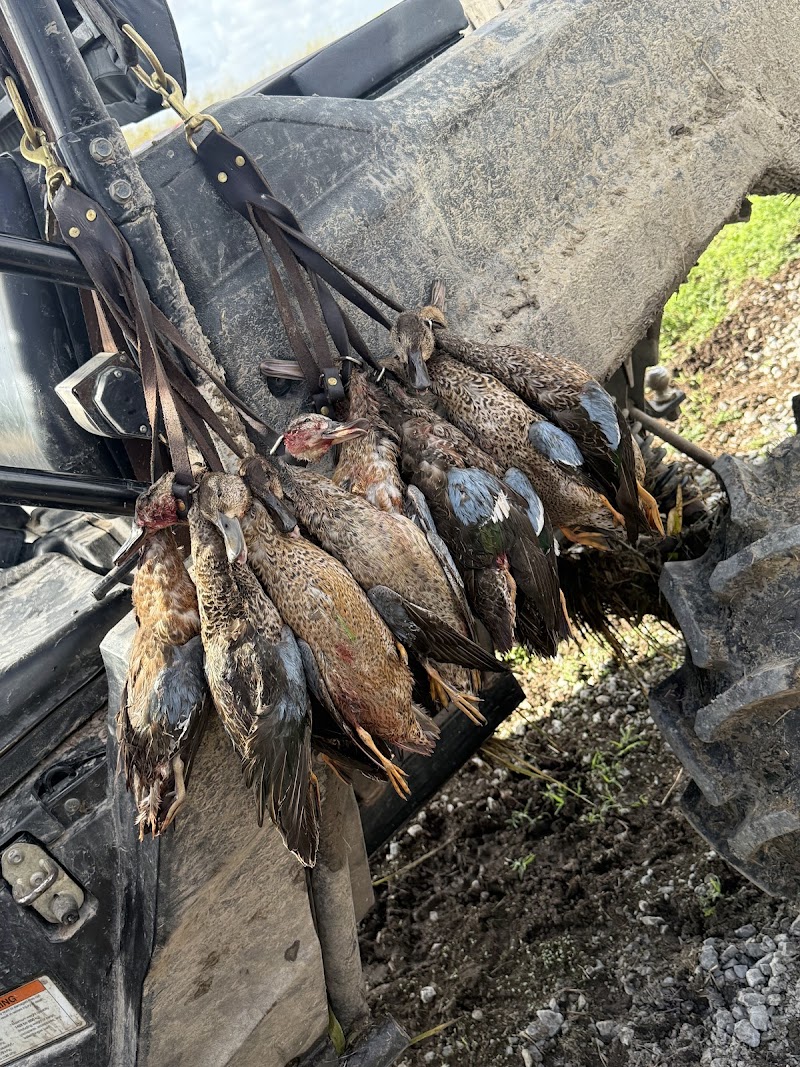 Cajun Country Waterfowl - Photo 6