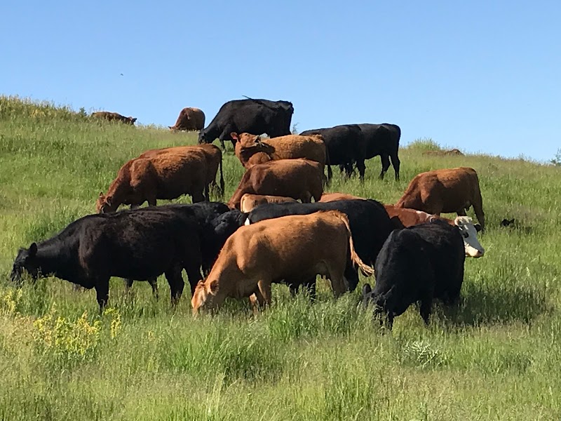 Robinson Ranch - Photo 3