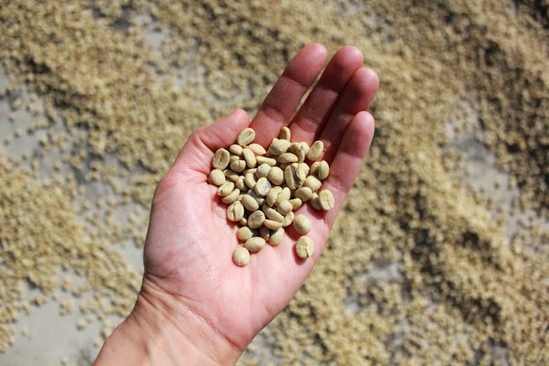 Rook Coffee photo 3