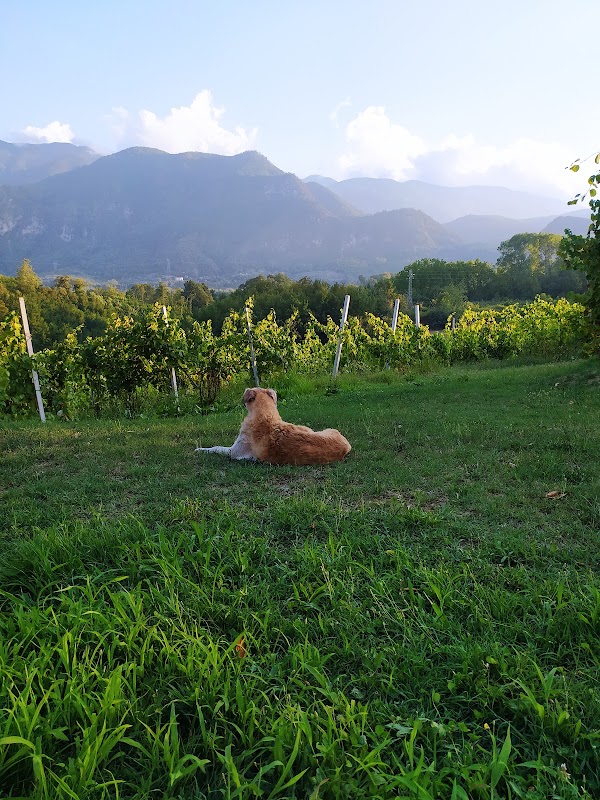 Cantina Santiuorio