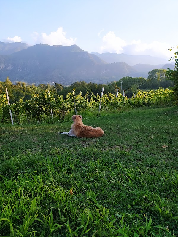 Cantina Santiuorio
