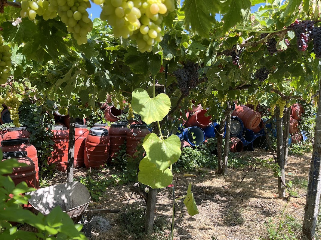 Garakis Winery