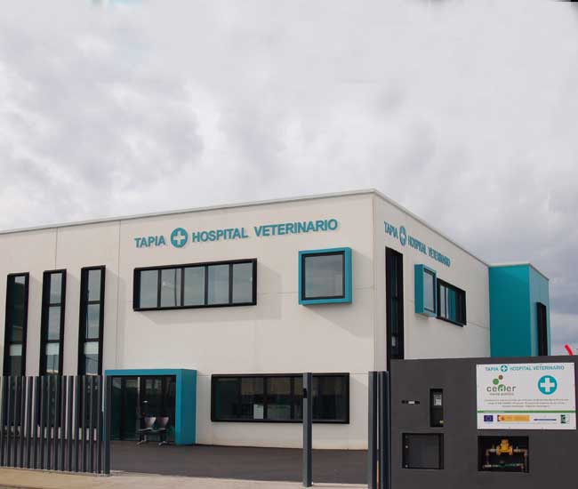 Medivet Clínica Veterinaria Tapia de Casariego