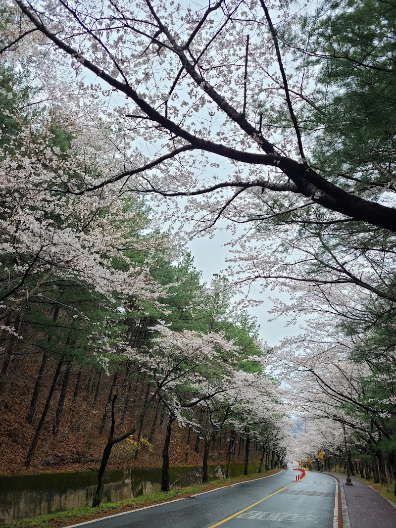 대청호오백리길 1코스(두메마을길) 사진 5