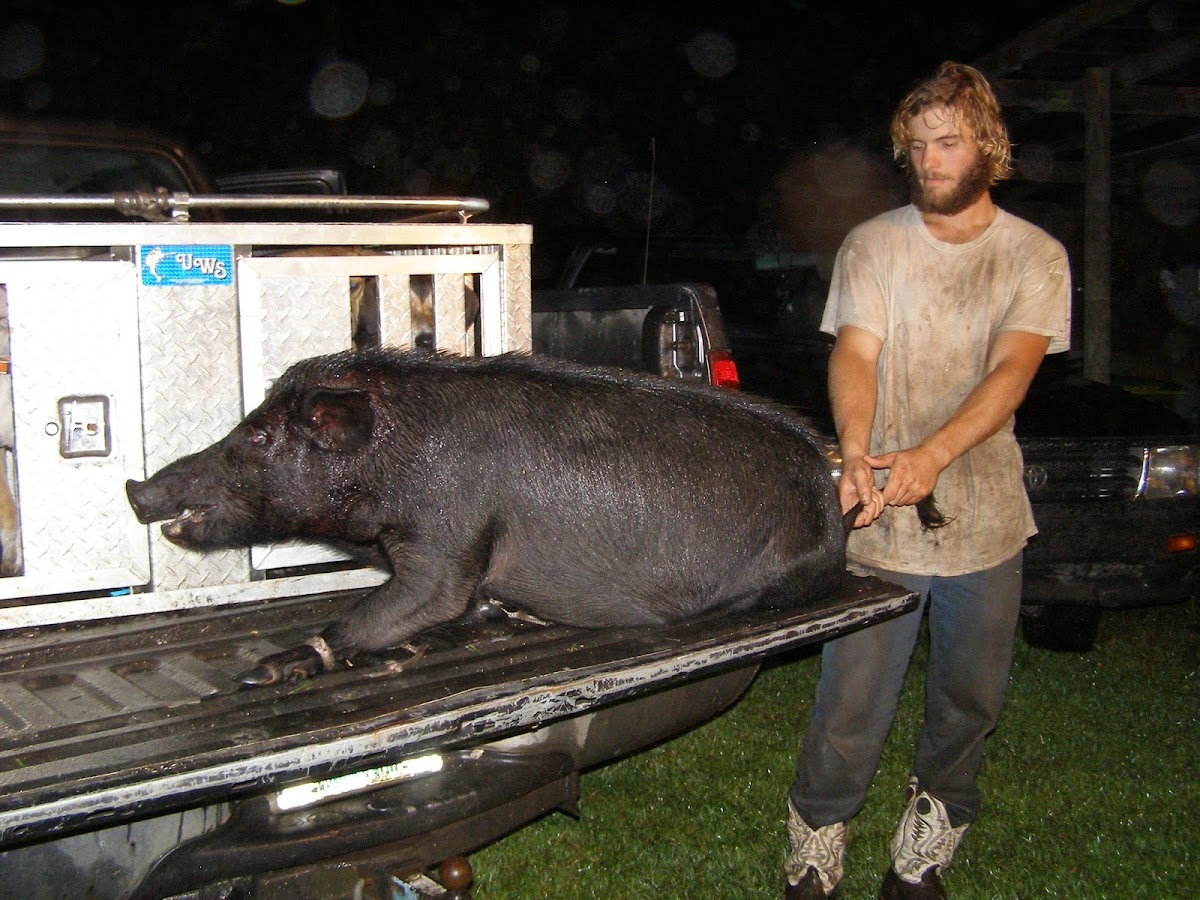 Double C Ranch Hunting
