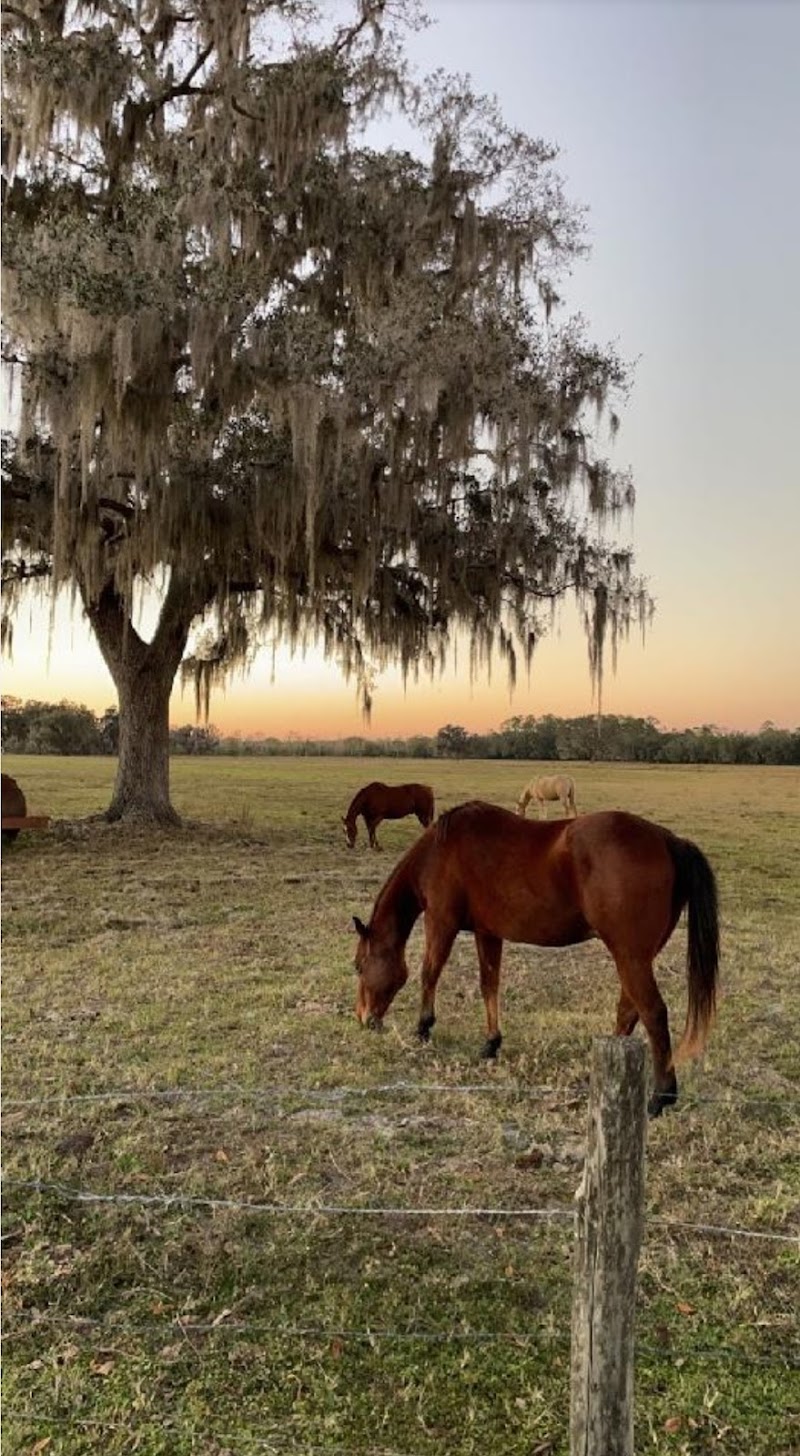 Double C Ranch Hunting - Photo 6