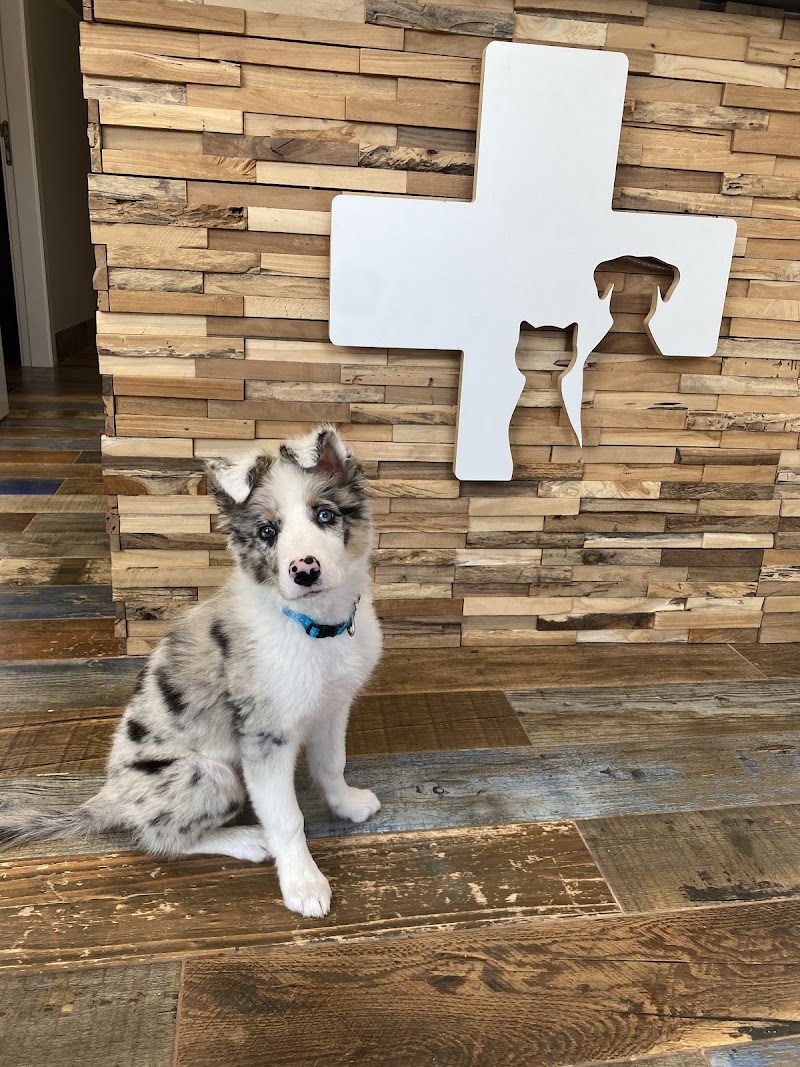 Consultorio Veterinario El Plantío