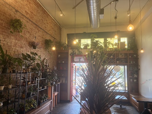 KUYAS Boutique & Cafe