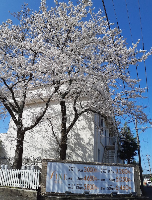 Fine Tottori sand duneの画像