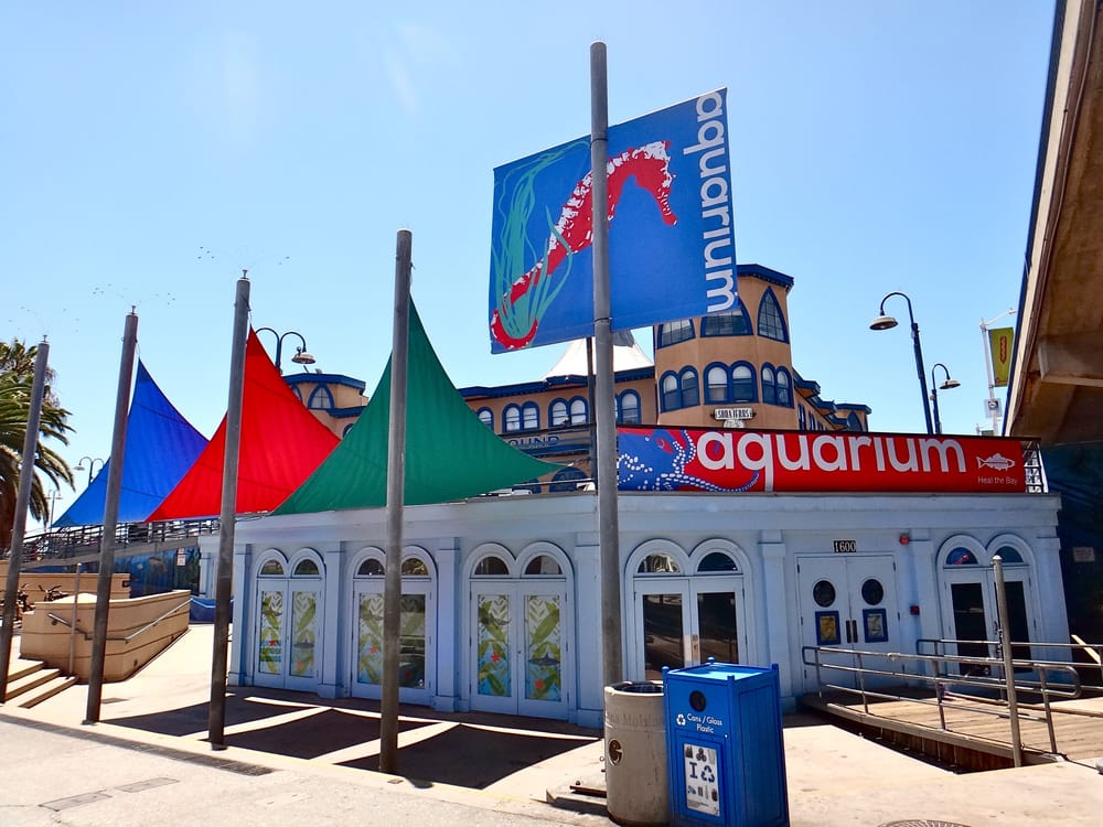 Heal the Bay Aquarium: Google Places image 1
