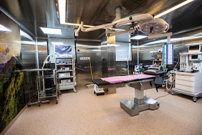Suvina's Divine Angels Hospital - Image 2