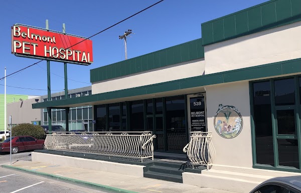 Belmont Pet Hospital