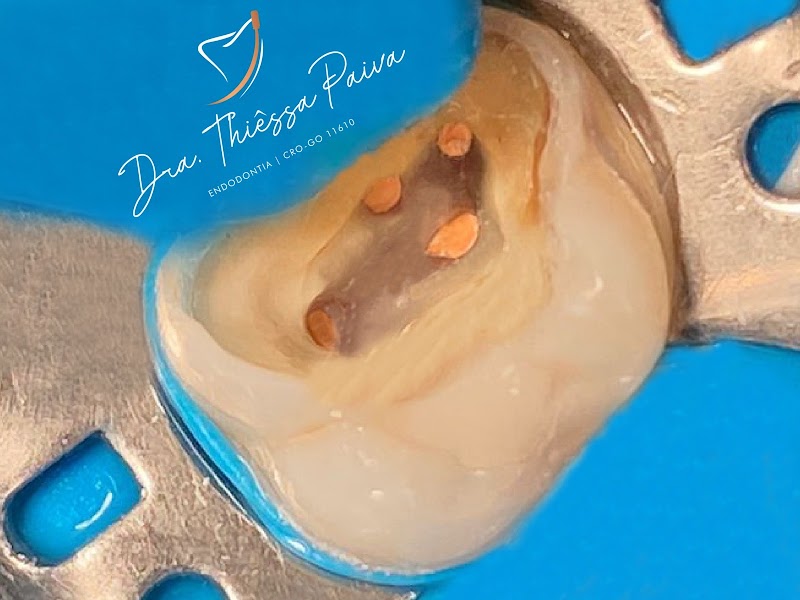 Dra Thiêssa Paiva - foto 4