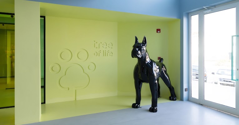 عيادة شجرة الحياة البيطرية