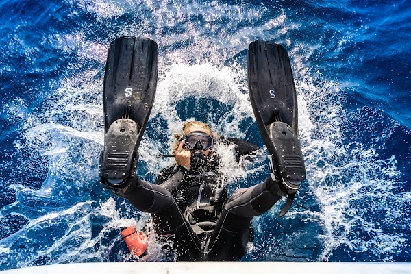Blue Ocean Dive Centers & Resorts 1