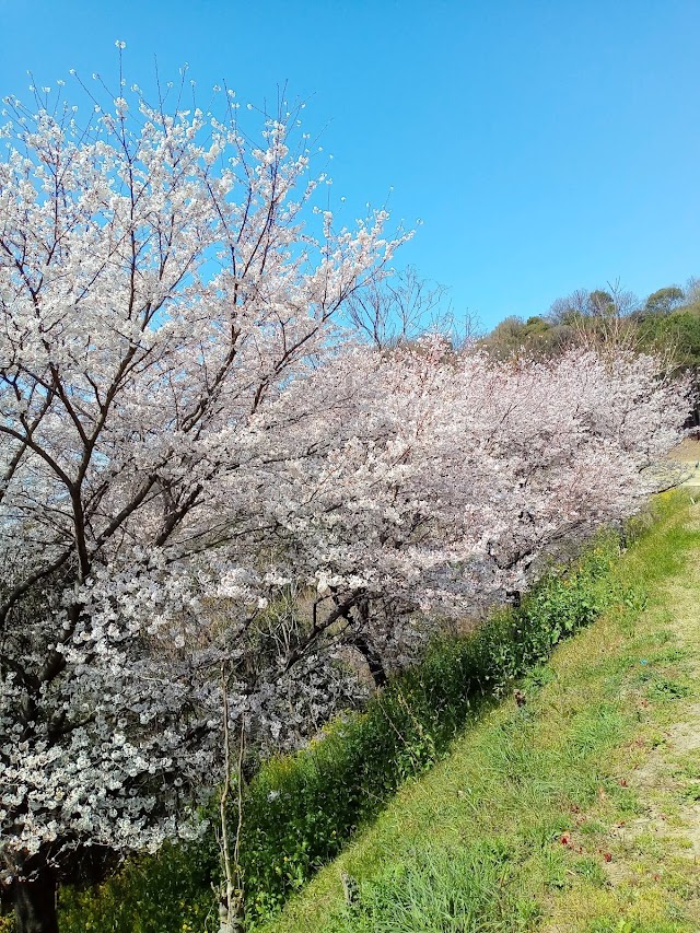 Fukuyama East Golf Club - Photo 5