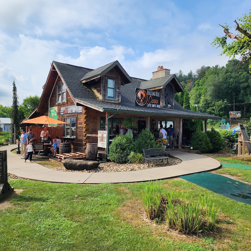 The Oasis Coffee Shop & More photo 4