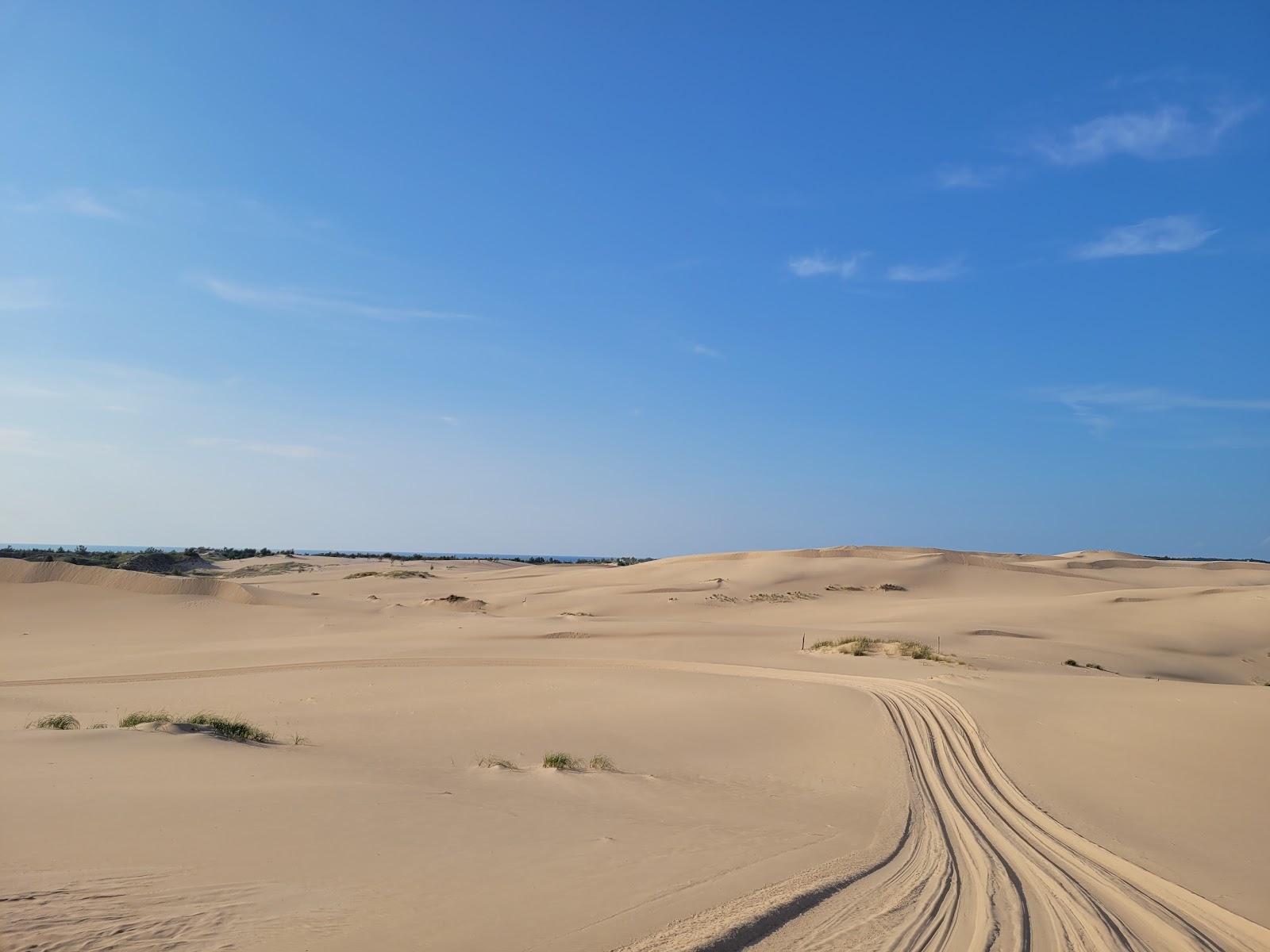 Mac Wood's Dune Rides 3