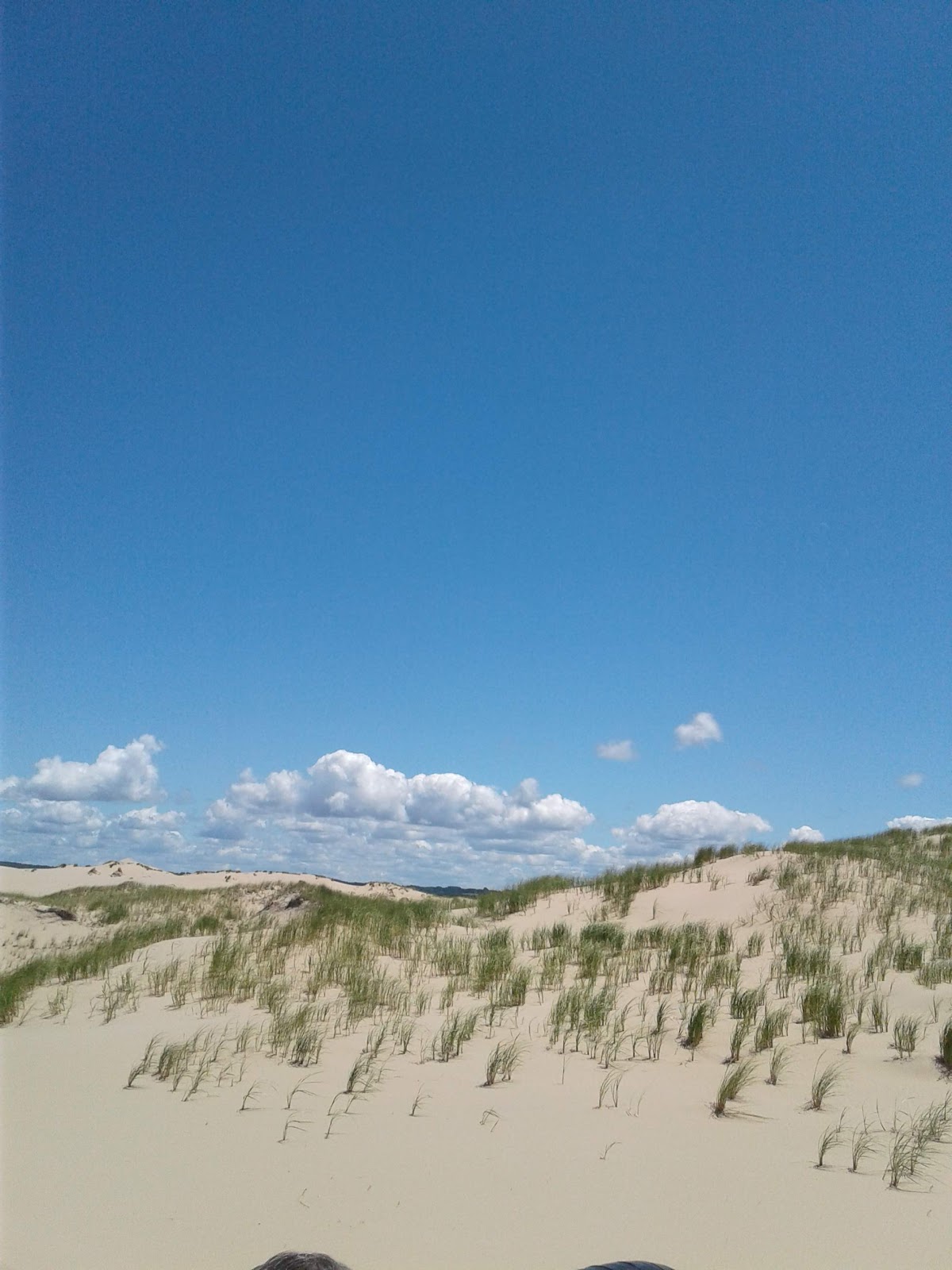 Mac Wood's Dune Rides 4