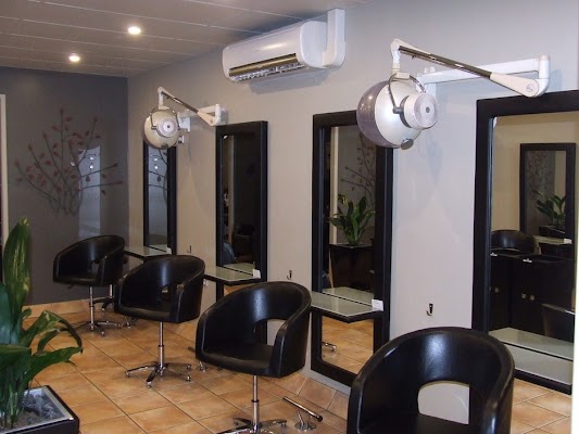 Hair Gallery artists of hair