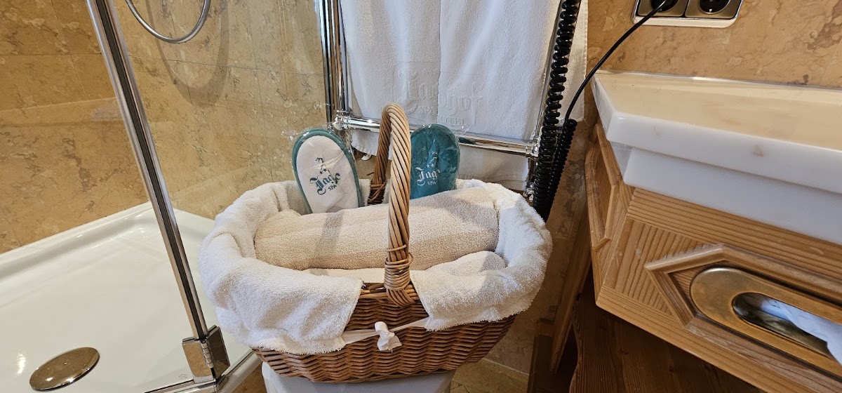Relais & Châteaux Hotel Jagdhof, dog-friendly hotel, photo 3