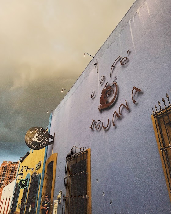 Café Iguana fotoğraf 1