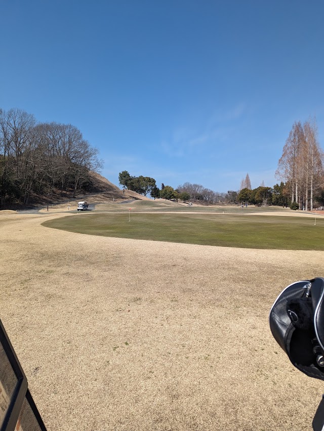 Ark Yokawa Golf Club - Photo 6