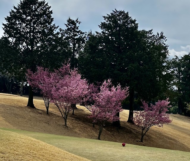 Hiratsuka Fujimi Country Club - Photo 10