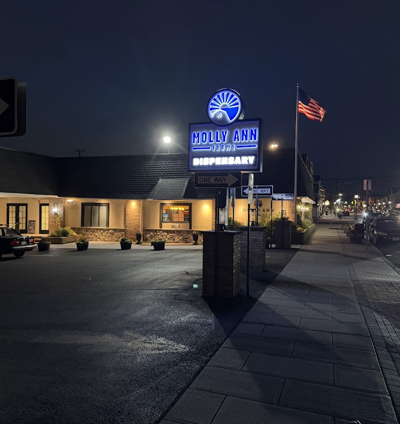 Video tour of Molly Ann Farms Recreational Marijuana Dispensary Haledon retail environment
