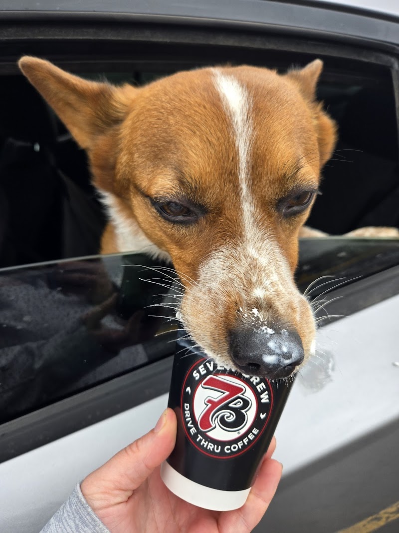 7 Brew Coffee photo 4