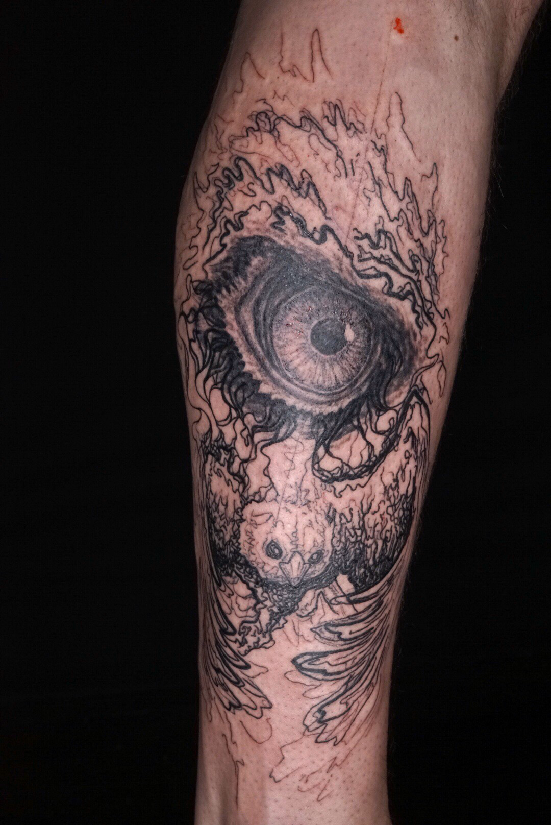 Terrapin Tattoo tattoo work — photo 2