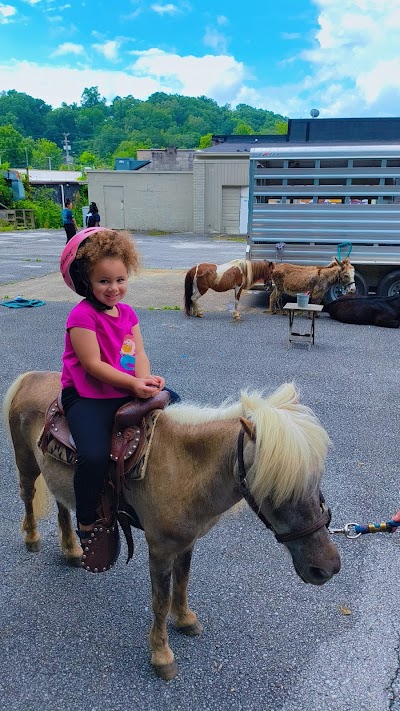 Champion Christian Learning Academy