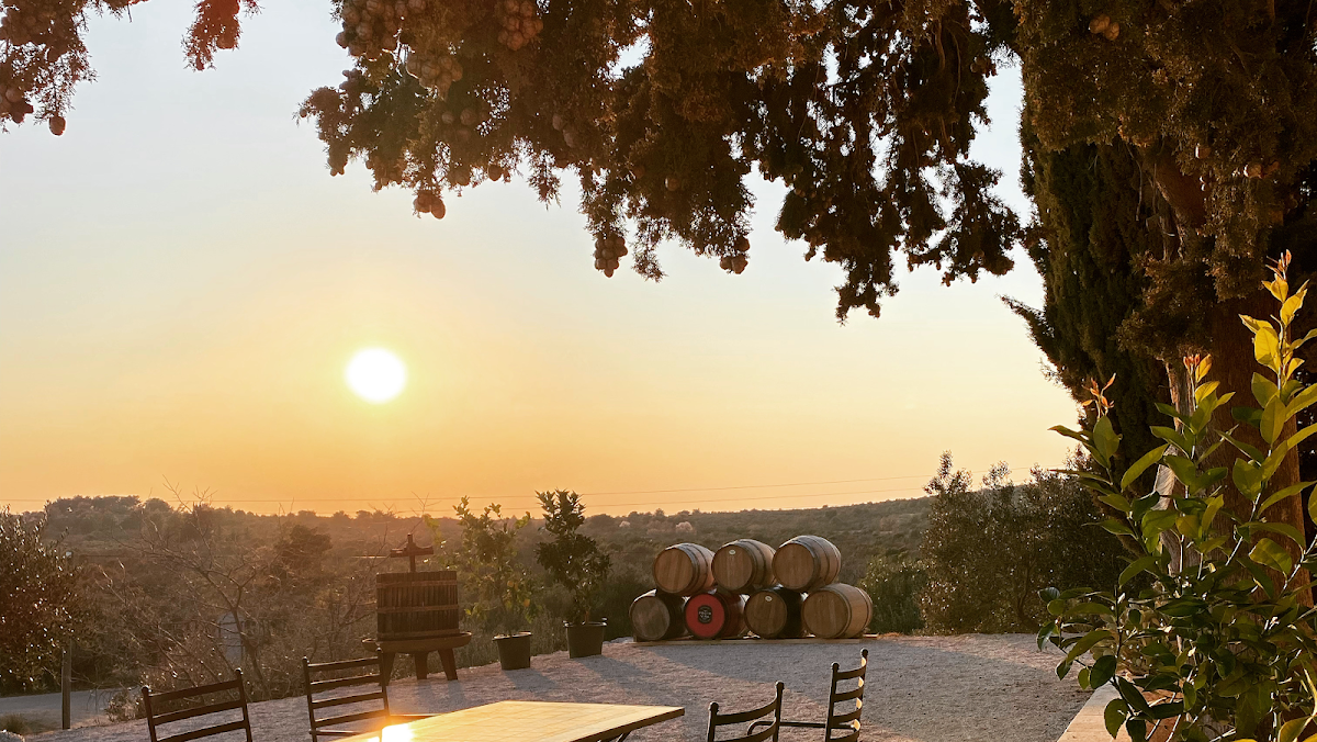 Prgin winery