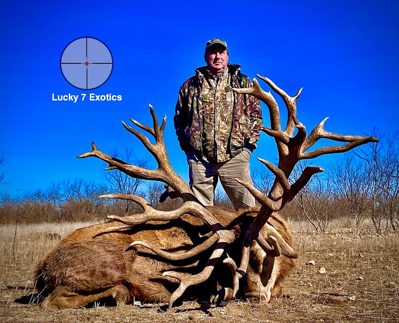 Lucky 7 Exotic Ranch - Photo 2