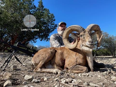 Lucky 7 Exotic Ranch - Photo 1