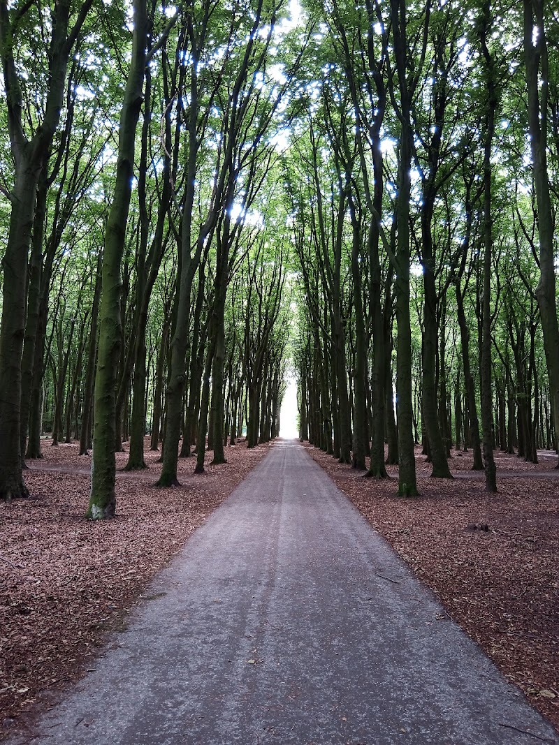 Rijswijkse Bos