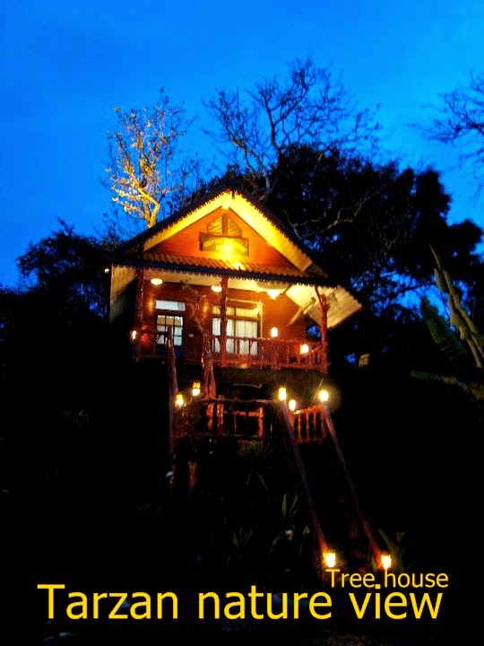 Khao Sok Tree House Resort