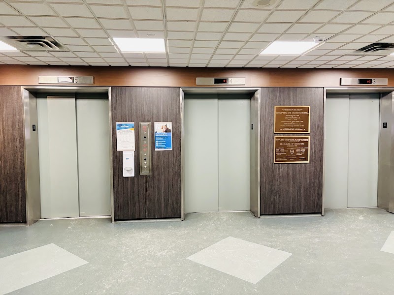 Gallery 5