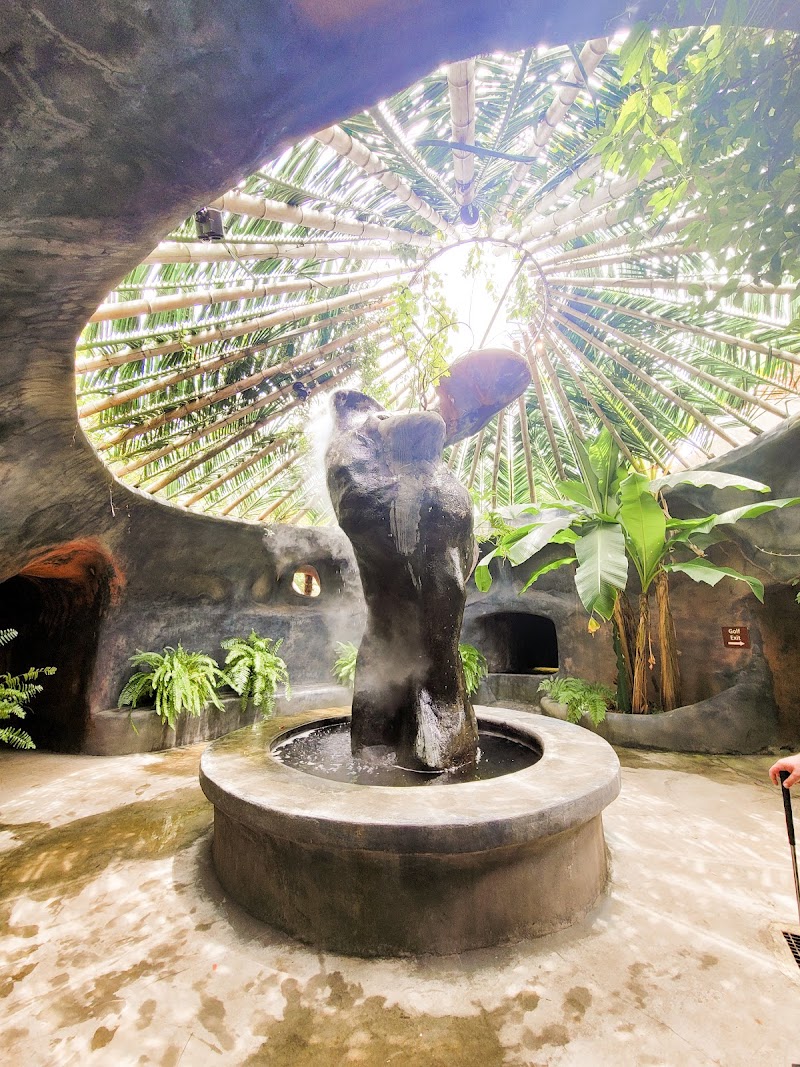 The Oasis Ranch - Photo 5