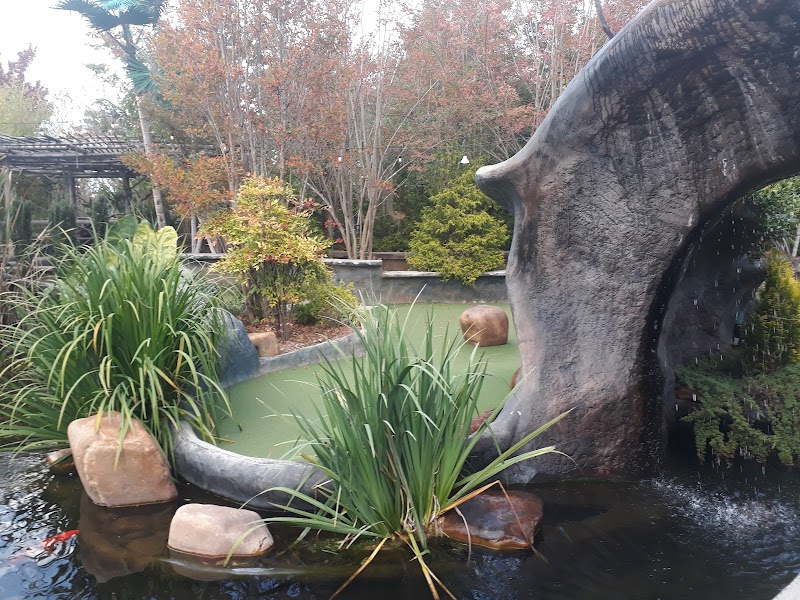 The Oasis Ranch - Photo 2